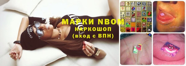 а пвп мука Аркадак