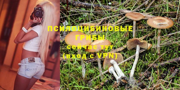 а пвп мука Аркадак