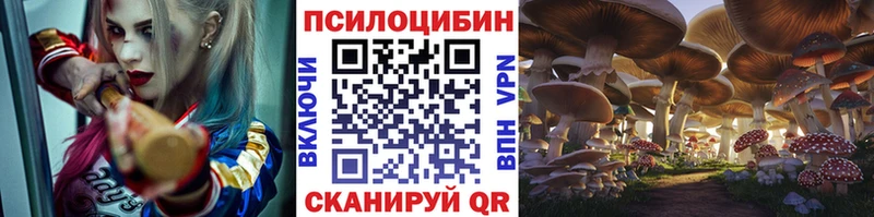 ОМГ ОМГ как зайти  нарко площадка состав  Псилоцибиновые грибы Psilocybine cubensis  Бодайбо 