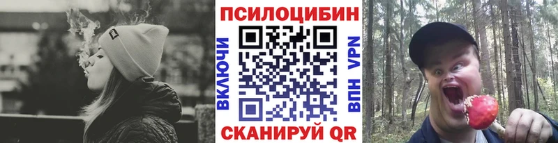 Псилоцибиновые грибы мицелий Бодайбо
